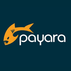 fish.payara.security.connectors