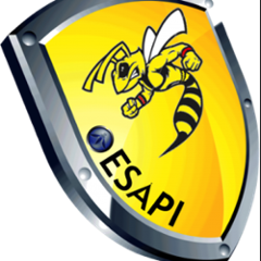 org.owasp.esapi