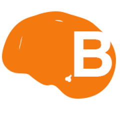 com.github.brainydigital