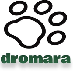 org.dromara