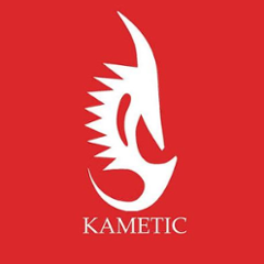 org.kametic