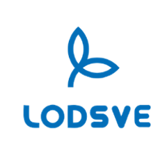 com.lodsve