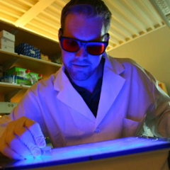 ca.uhnresearch.pughlab