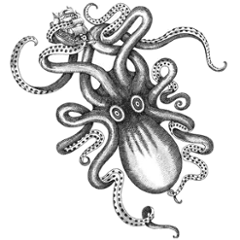 io.krakens